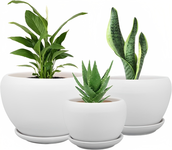 3 piece round succulentCactus flower pot Planters Vase
