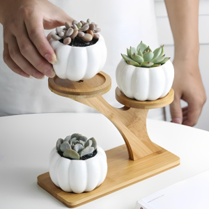 1Pc SucculentCactus Flower Pot Without Cactus Plant Planters Vase - Flower Tub