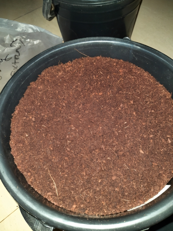 Natural Coco Peat for Gardening - 2kg